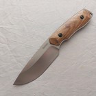 Kershaw Halt Small Hunting Wood Stainless Steel Fixed Blade Knife W  Sheath 1417