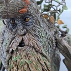 17inch Treebeard Action Figurine From The Lord Of The Rings Made By Toybiz 
