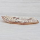 Detailed Pastoral Carved Shell Cameo Large Oval Farm Figural Girls Walking Goat