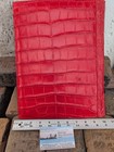 Wild Alligator Executive Writing Pad Portfolio Ladies Red Gator Swamp  Mr8