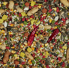 Kaytee Forti-diet Parrot Food 8 Lb - Premium Bird Seed Blend For Feather Health