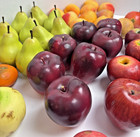Realistic Artificial Fruit Lot 41 Mixed Faux Display Props Kitchen Decor