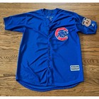 Majestic Chicago Cubs Anthony Rizzo 2017 Spring Training Jersey Blue Mens 44