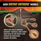 Ortho Orthene Fire Ant Killer1  12 Oz   12-pack kills Queen Destroy Up To 162 Mo