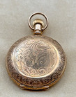 Antique Trenton Pocket Watch Elgin Dial Dueber Champion Gold Filled Hunter Works