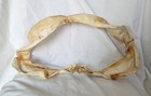Bluntnose Sixgill Cow Shark Jaw 16  Blunt Nose Six Gill