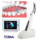 Endodoncia Dental Led Endo Motor  apex Localizador Root Finder  rotary Files