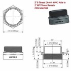 G Thread  british Bspp  Male To Npt Female Adapter - Lead-free  2  X 2  