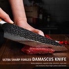 8in Chef Knife High Carbon 67-layer Damascus Stainless Steel Japanese Knife