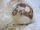 1920 S French Art Deco Powder Compact W Mirror   Puff Signed Tita