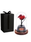 Preserved Roses In Glass Dome Glass Rose Valentines Gifts   3rd Anniversary Red