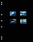  10 00 Scott Value - 2015 Micronesia Sharks Pacific Ocean Cv Mnh Nh Umm