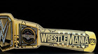 Championship Wrestling Style Gold Belt Adult Size Luxury Replica Title 4mm Plate