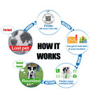 Pet Dwelling Qr Code Service Dog Id Tag - Free Online Profile - Instant Alerts