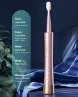 Sonic Electric Usb Rechargeable Sonic Toothbrush With 8 Brush Heads  5 Modes 