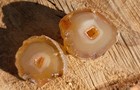 Natural Agate Geode Pair  Beautiful Polished Baby Brazilian Agate Geode 10g