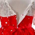 Toddler Kids Girls Christmas Santa Dresses Pageant Lace Gown Princess Dress