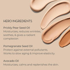 Organic Bb Cream Foundation - Vegan Makeup With Hydrating Prickly Pear  Jojoba  