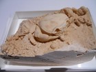 1 5 Inch Travertine Replaced Crab Fossil From Turkey   Potamon  Pleistocene Age