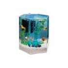 Hexagon Aquarium Kit 1 Gallon Color Changing Led Light Air Pump Filter Fish New