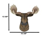 North American Granddaddy Bull Moose With Antlers Trophy Head Wall Decor 15 l