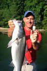Spray-on Lures Fish Attractant - 2oz  Crawfish Fishing Lure   Bait