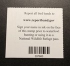  rw93 2026 Plate  -  Federal Duck Stamp - Mint Og Nh   well Centered  