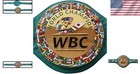 Vibrant Multicolor Wbc Boxing Belt 3d Replica With Buckle Closure - Adults