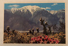 Rugged Snow-capped San Jacinto Mountains Postcard  a1 