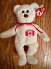 Ty Beanie Babies Maple The Bear  canada Exclusive  In Case - Pvc Pellets 