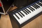 Roland Fp-10 Digital Piano - Black Bonus Pak