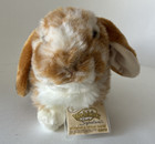 Webkinz Signature Lop Bunny With Sealed Code Ganz Plush Rabbit