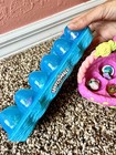 Hatchimals Colleggtibles 16 Mixed Lot Basket   Blue Egg Carton Case Preowned