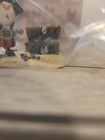 Wee Forest Folk Packrat Pete Pirate s Treasure Mouse Expo Mint In Bag Brand New