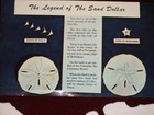 Two Sand Dollars With Sand Dollar Legend Post Card   5  And 3 3 4  Dollars