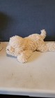 Fao Schwarz Shaggy Golden Retriever Puppy Dog Plush  Stuffed Animal