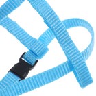 1pc Bunny Leash Rat Harness Ferret Harness Guinea Pig Harness Leash Cat Harness