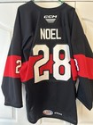 Charlotte Checkers Game Worn Serron Noel Ahl Hockey Jersey