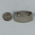 1985 Stone Mountain Georgia Lions Club Pin Pinback  57001