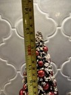Ragon House Christmas Trees Bottle Brush 13    And 10    Nice 