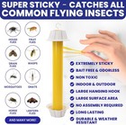 Bugbane Sticky Fly Traps 6-pack  Indoor outdoor  Non-toxic  Super Sticky