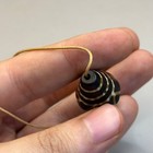 Beautiful Ancient Central Asian Sassanian Etched Agate Carnelian Bead