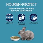 Rabbit Food Forti Diet Pro Health Nourish protect Adult 8 Pound Kaytee Nutrition