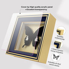 Butterfly Framed Decoration Handmade Taxidermy Butterfly Shadow Box Collection F