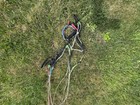 Niviuk Doberman 2 Paramotors Wing