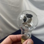 Aerolux Neon Style Light Bulb Flowers    Leaves   Vintage  Glass Bulb Is Clear