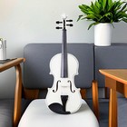 4 4 Full Size Acoustic Violin Set For Beginners - Case  Bow  Rosin   White Color