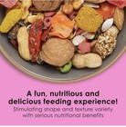 Kaytee Fiesta Big Bites Macaw Food  Nutritious And Fun Blend  10 Pounds