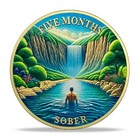 5 Months Aa Sobriety Coin Chips Recovery Token Anniversary Sobriety Gifts Bronze