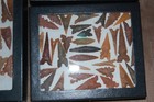 Authentic Arrowhead Collection